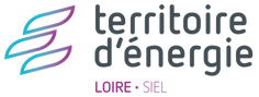 Logo SIEL-TE Loire.png